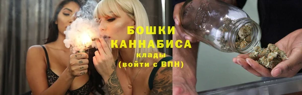 шишки Белоозёрский