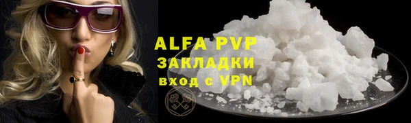 ешки Белокуриха