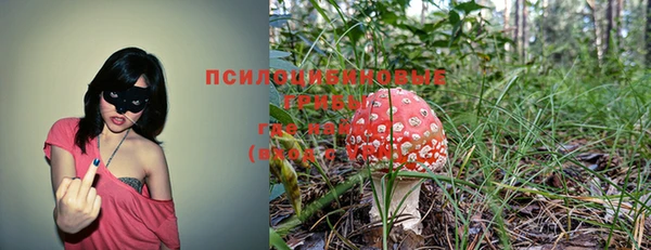 шишки Белоозёрский