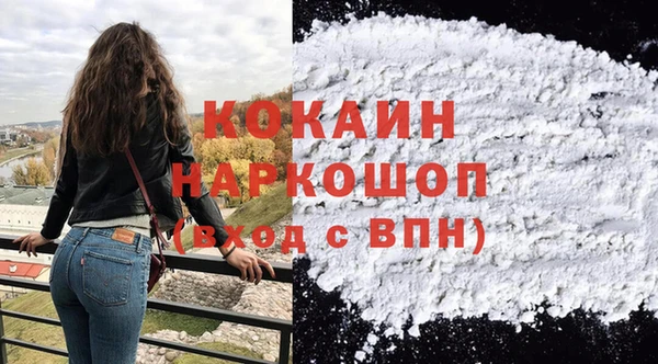 ешки Белокуриха