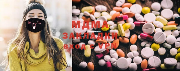 шишки Белоозёрский