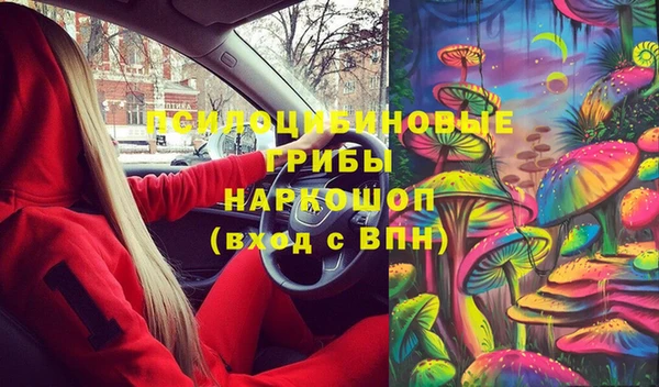 ешки Белокуриха