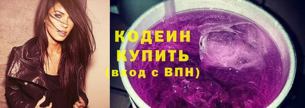 шишки Белоозёрский