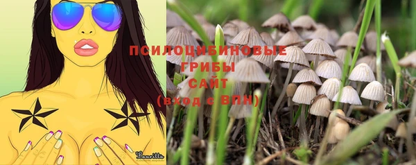 шишки Белоозёрский
