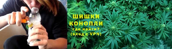 ешки Белокуриха