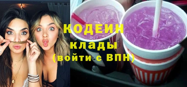 шишки Белоозёрский
