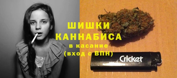 ешки Белокуриха